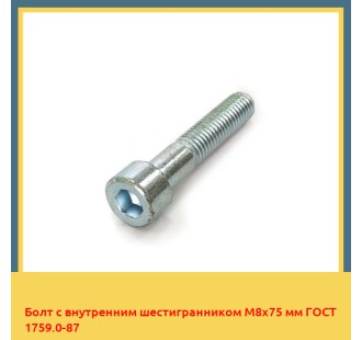 Болт с внутренним шестигранником М8х75 мм ГОСТ 1759.0-87 в Талдыкоргане