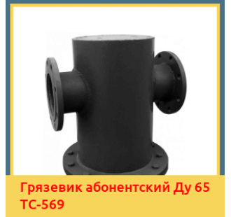 Грязевик абонентский Ду 65 ТС-569 в Талдыкоргане