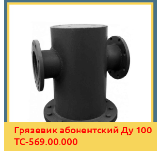 Грязевик абонентский Ду 100 ТС-569.00.000 в Талдыкоргане