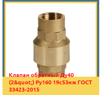 Клапан обратный Ду40 (2") Ру160 19с53нж ГОСТ 33423-2015 в Талдыкоргане