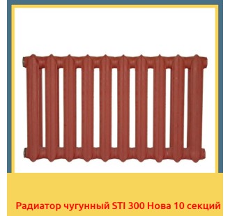 Радиатор чугунный STI 300 Нова 10 секций в Талдыкоргане
